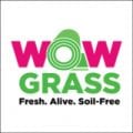 WowGrass